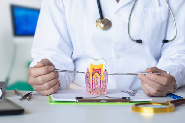 Best Emergency Dentist for Knocked-Out Tooth in Woodville, AL